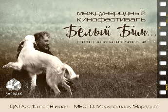 Международный кинофестиваль «Белый Бим»