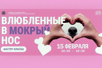 Frisky dog day | Влюбленные в мокрый нос