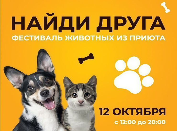 «Найди друга»