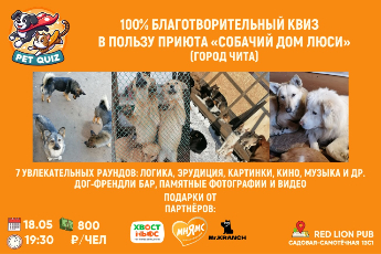 Благотворительный квиз в пользу приюта «Собачий дом Люси»