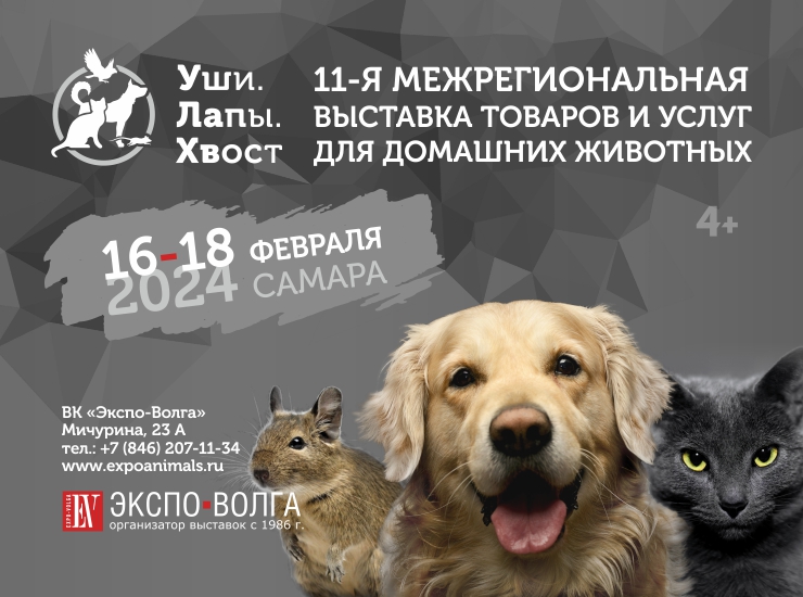 «УШИ.ЛАПЫ.ХВОСТ»