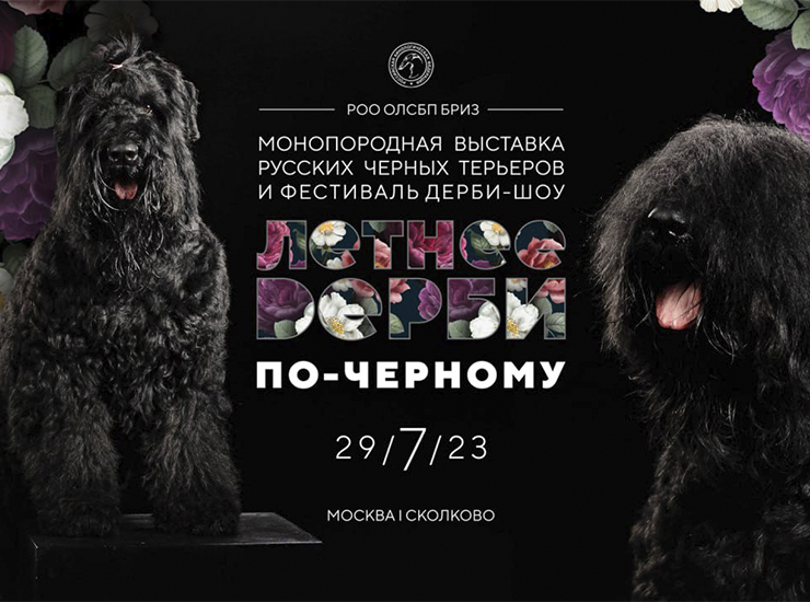 Монопородная выставка русских черных терьеров и фестиваль дерби-шоу