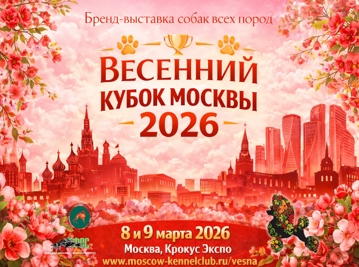Весенний кубок Москвы 2026