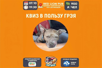 Благотворительный квиз в пользу Грэя