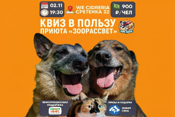 Квиз «Обо всем» в пользу приюта «Зоорассвет»