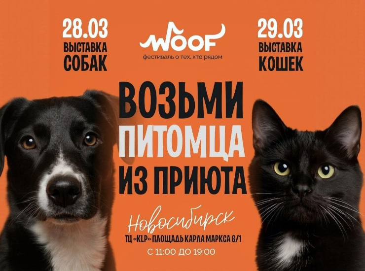 Woof Fest Новосибирск