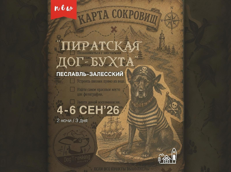 «Пиратская дог-бухта»