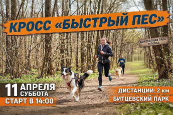 Кросс «Быстрый пес»