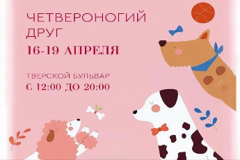 «Четвероногий друг»