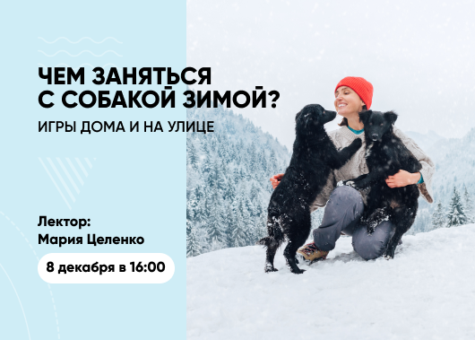 Вебинар «Чем заняться с собакой зимой: игры дома и на улице»