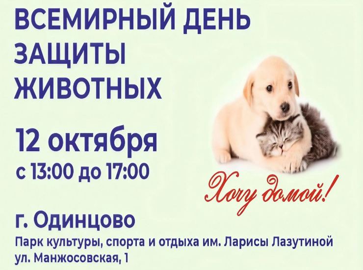 «Хочу домой»