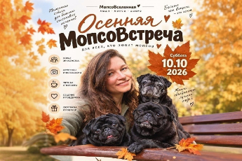 «Мопсовстреча»