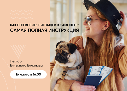 Вебинар «Как перевозить питомцев в самолете. Самая полная инструкция»
