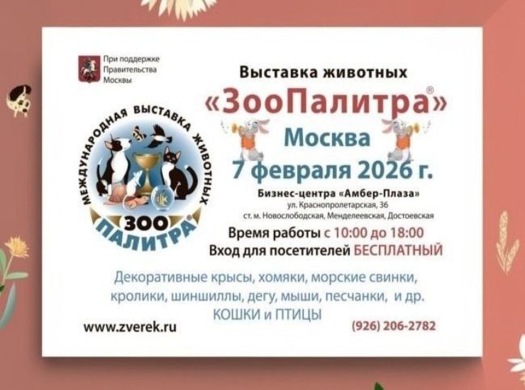 «ЗооПалитра» 