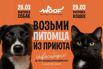 Woof Fest Новосибирск