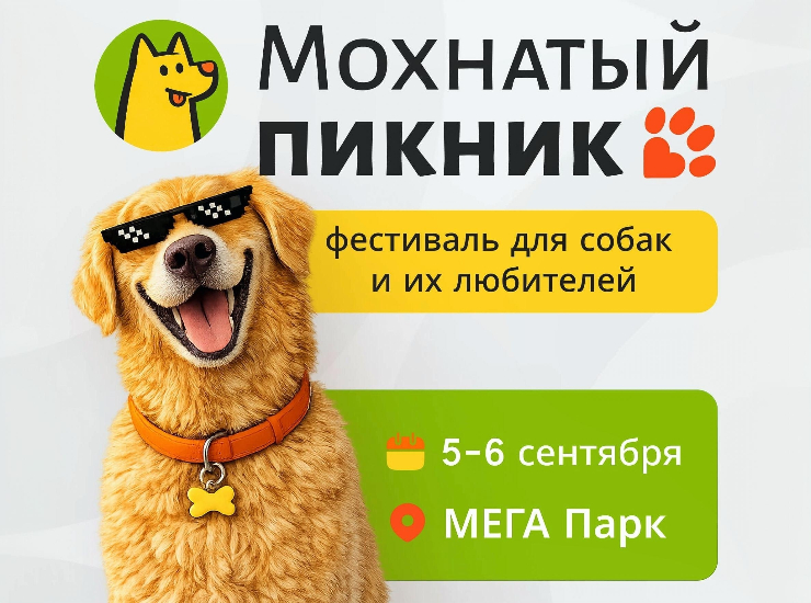 Мохнатый Пикник