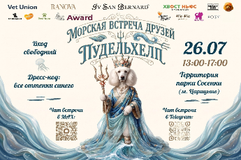 Морская встреча друзей Пудельхелп