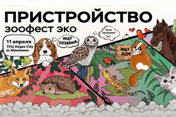 Пристройство ЗООФЕСТ ЭКО