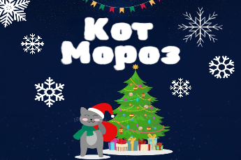 «Кот Мороз»