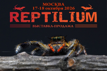 «Рептилиум»