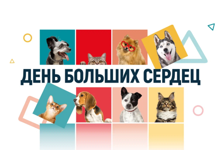 Pet friendly карта