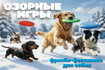 «Озорные игры»