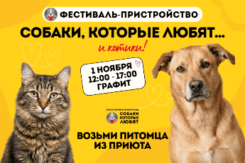 «Собаки, которые любят… и котики!»