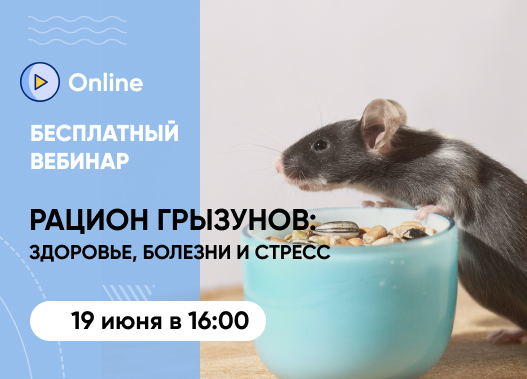 «Как рацион влияет на здоровье и поведение грызунов: от болезней до стресса»