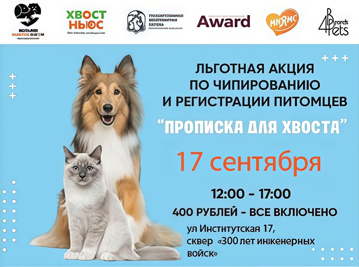 «Прописка для хвоста»