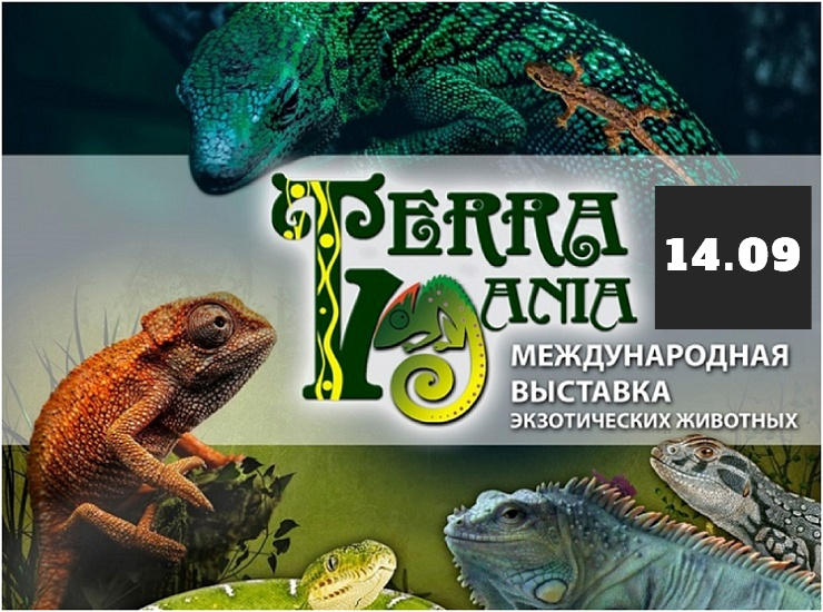 «ТерраМания»