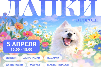 Frisky Dog Day | Лапки в городе