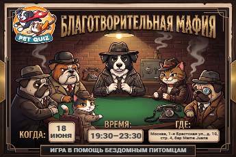 Благотворительная Мафия от Pet Quiz