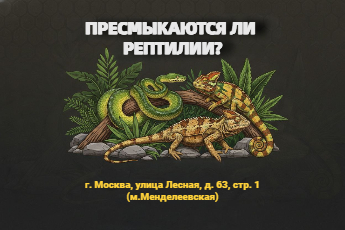 «Пресмыкаются ли рептилии?»