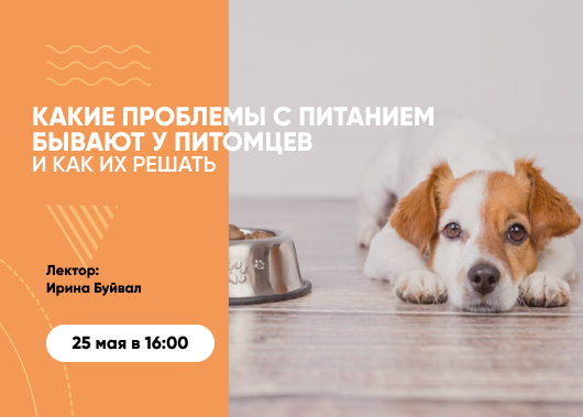Вебинар «Какие проблемы с питанием бывают у питомцев и как их решать»