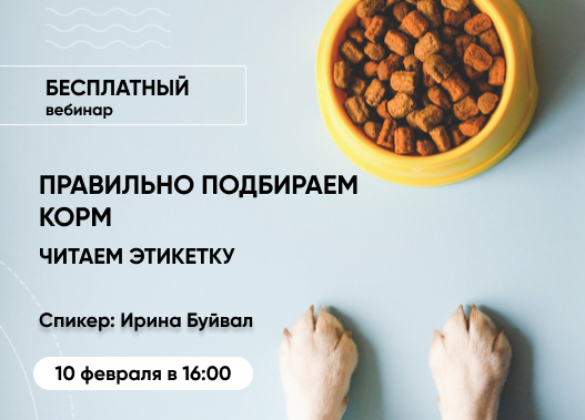 «Как правильно выбрать сухой и влажный корм. Уметь читать этикетку»