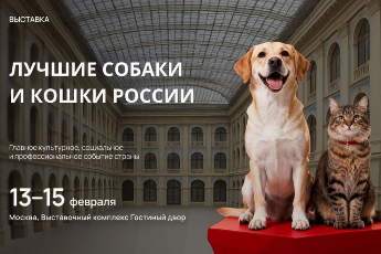 «Лучшие собаки и кошки России 2026»