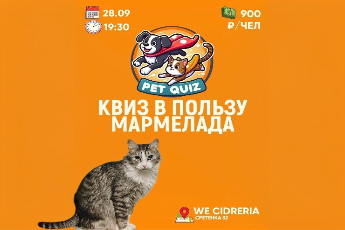 Квиз в пользу кота Мармелада