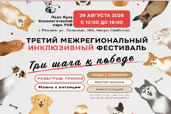 «Три шага к победе»