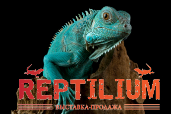 «Рептилиум»