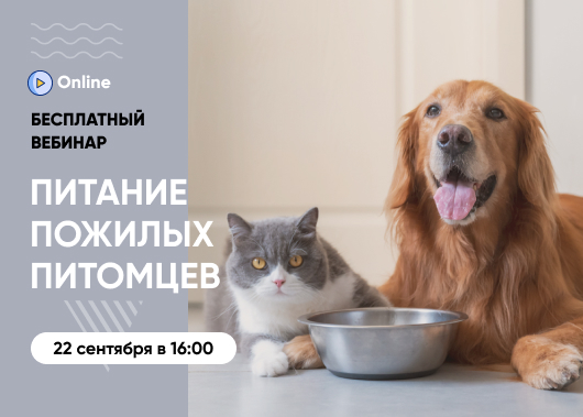 «Особенности питания пожилых кошек и собак»
