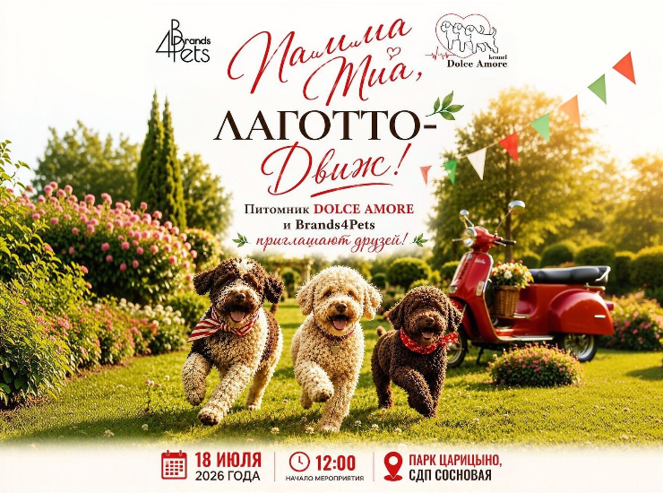 «Mamma Mia, ЛАГОТТО-Движ!»