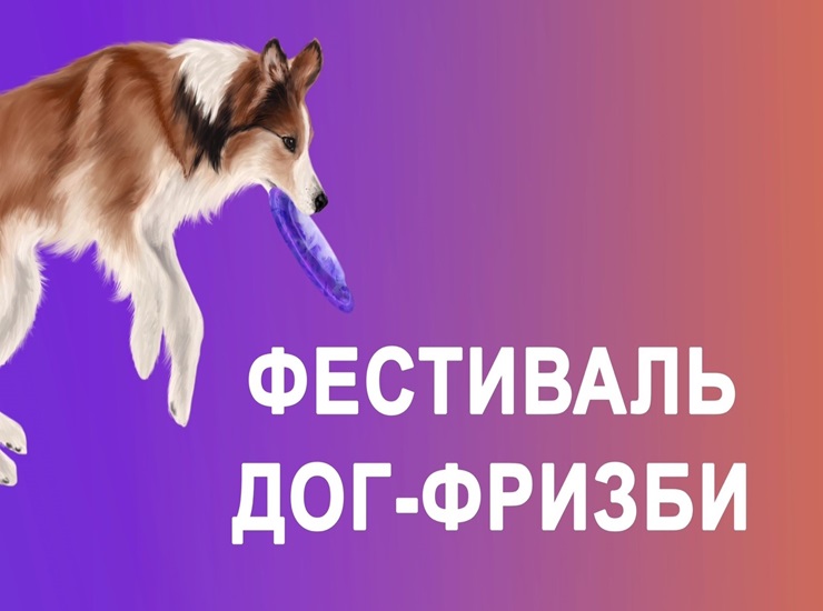 Фестиваль дог-фризби Фестиваль дог-фризби