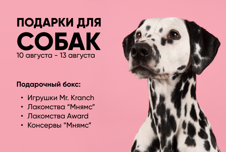 РОЗЫГРЫШ подарков для ваших питомцев!