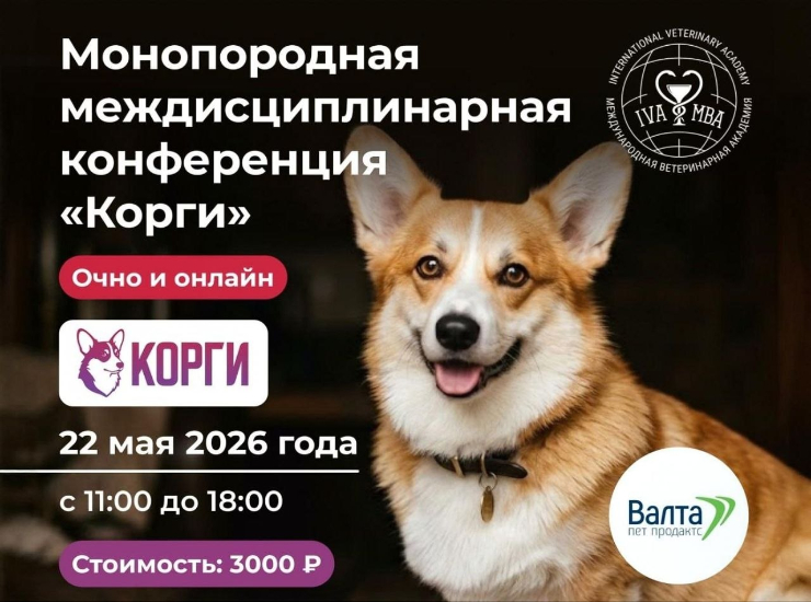 Монопородная междисциплинарная конференция «Корги»