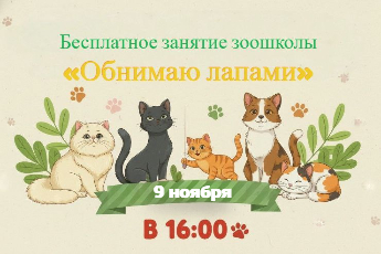 Занятие зоошколы «Обнимаю лапами» 