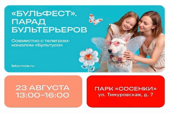 БульФест