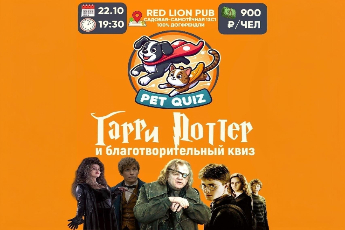Квиз по «Гарри Поттеру»