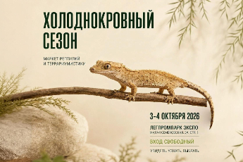«Холоднокровный сезон»