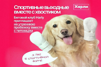 Спортивные выходные вместе с хвостиком