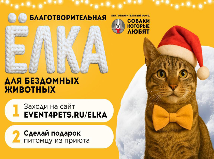 Благотворительная Елка для бездомных питомцев